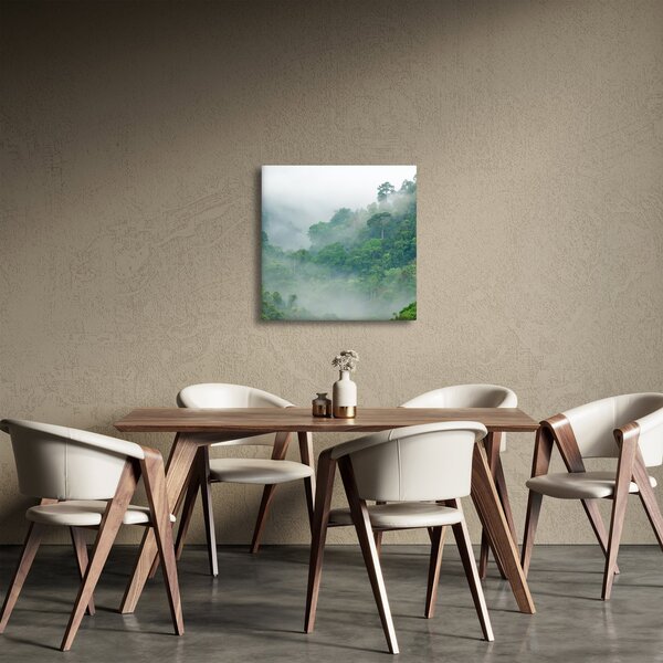 Obraz - Ranní mlha (30x30 cm)