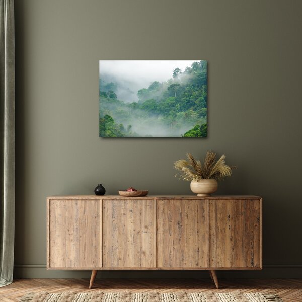 Obraz - Ranní mlha (70x50 cm)