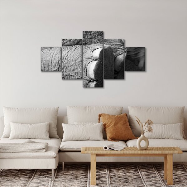 Obraz - Sloní noha (125x70 cm)