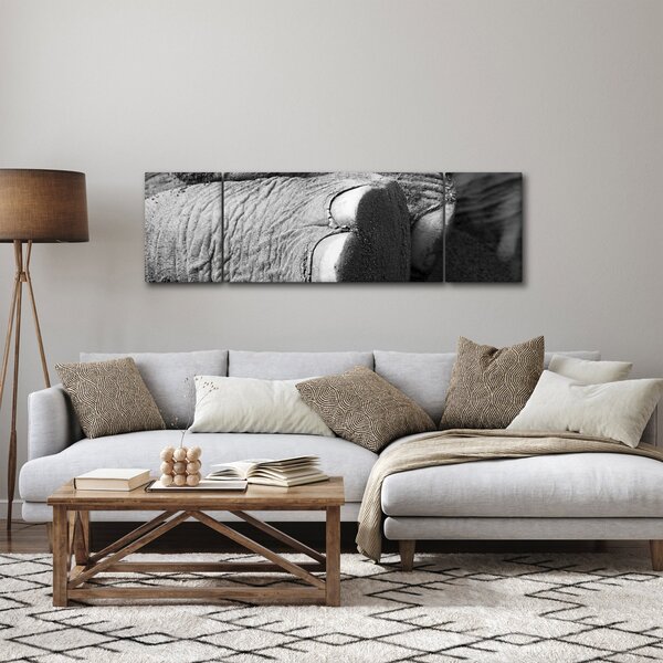 Obraz - Sloní noha (170x50 cm)