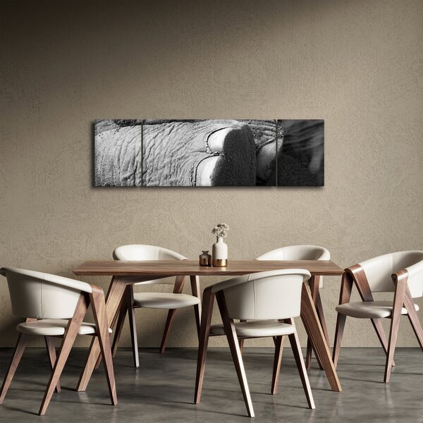 Obraz - Sloní noha (170x50 cm)