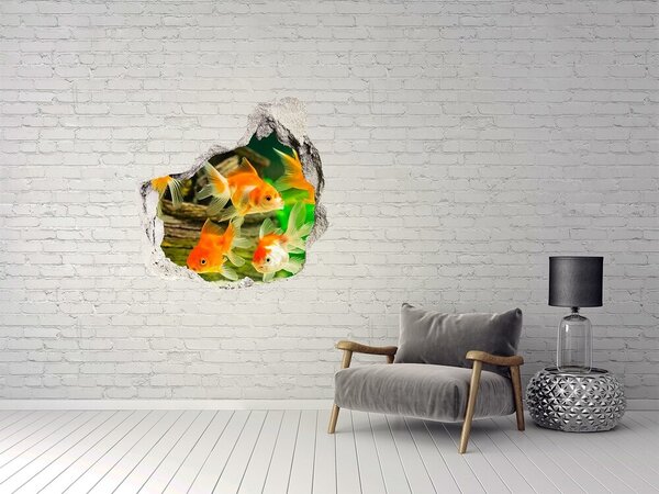 Díra 3D foto tapeta nálepka Zlaté rybičky nd-p-89540196