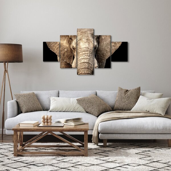 Obraz - Slon africký (125x70 cm)