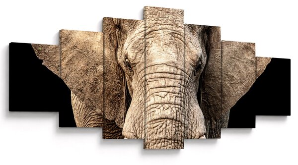 Obraz - Slon africký (210x100 cm)