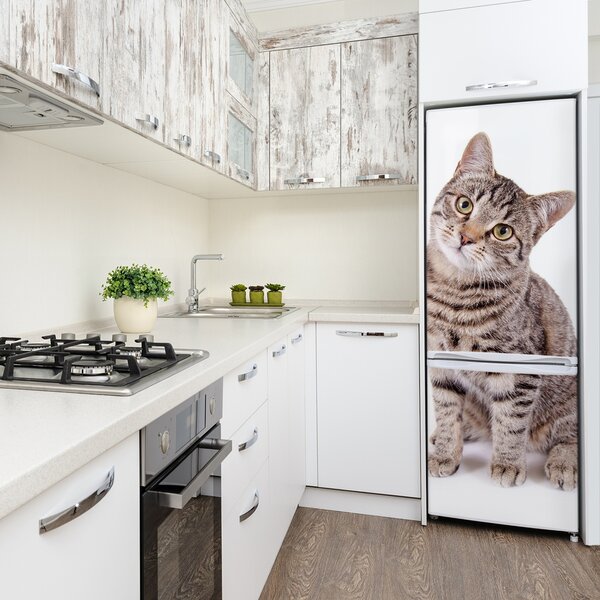 Samolepící nálepka na ledničku stěnu Kočka FridgeStick-70x190-f-78018175