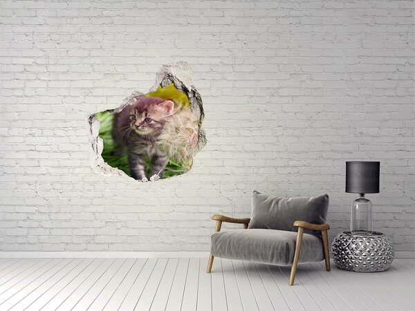 Díra 3D fototapeta nálepka Kočka s pampeliškou nd-p-107758068
