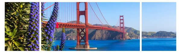 Obraz - Golden Gate Bridge, San Francisco (170x50 cm)