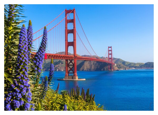 Obraz - Golden Gate Bridge, San Francisco (70x50 cm)