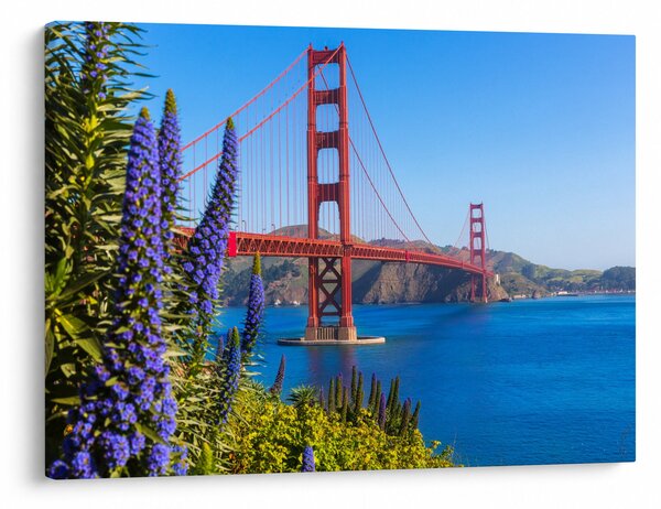 Obraz - Golden Gate Bridge, San Francisco (70x50 cm)