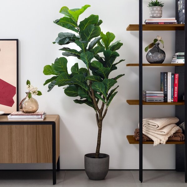 Umělá květina Kave Home Ficus 150 cm