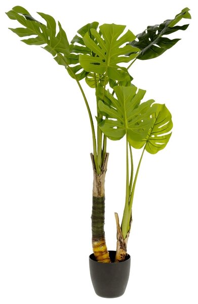 OnaDnes -20% Umělá květina Kave Home Monstera 130 cm