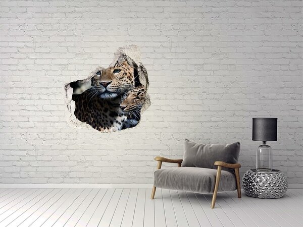 Díra 3D fototapeta na stěnu Levharti nd-p-109930645