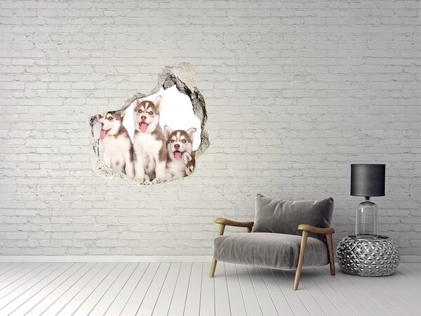 Díra 3D fototapeta nálepka Štěně Husky nd-p-110309501