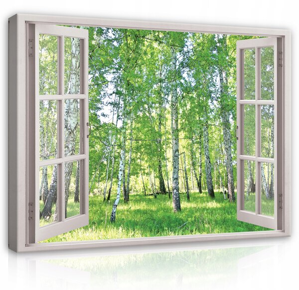 Obraz OKNO 3D Na Plátně Moderní Les 100x70