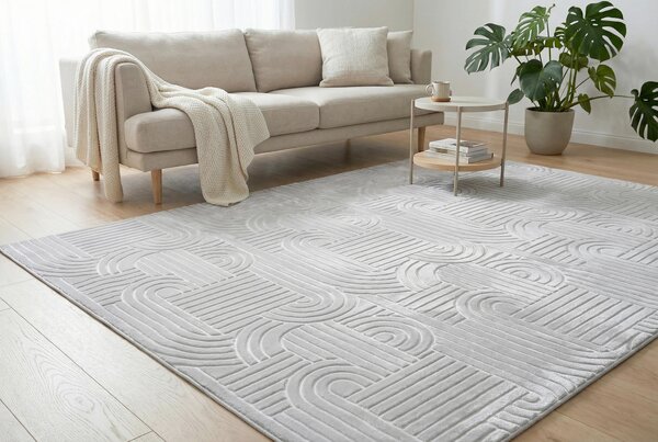 BĚHOUN, 80/150 cm, barvy stříbra Kayoom - Online Only koberce & rohožky, Online Only