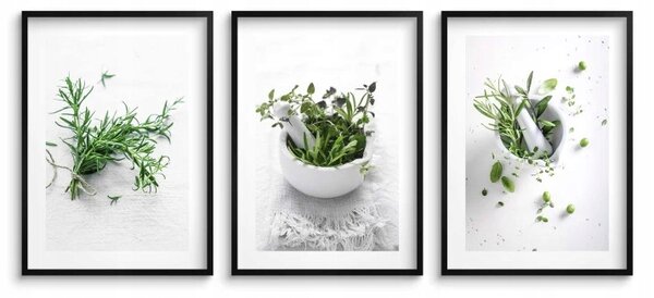 Plakát v rámu Naklejkomania Sada 3 ks Bylinky 43x99 cm