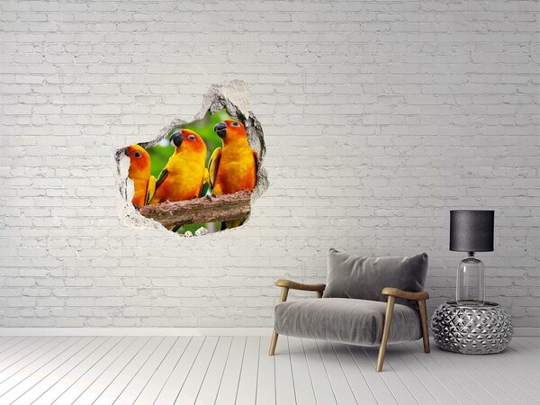 Díra 3D fototapeta nálepka Papošci na větvi nd-p-68805637