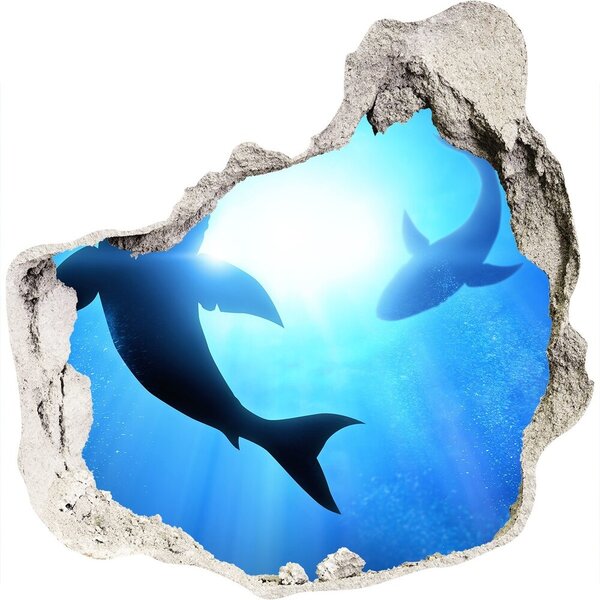 Díra 3D fototapeta nálepka Dva žraloci nd-p-69178156