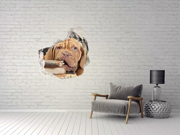 Díra 3D fototapeta Pes kouše knížku nd-p-69378395