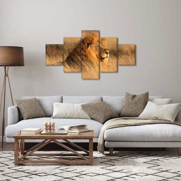 Obraz - Národní park Etosha (125x70 cm)