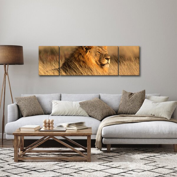 Obraz - Národní park Etosha (170x50 cm)