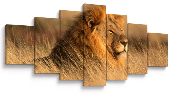 Obraz - Národní park Etosha (210x100 cm)