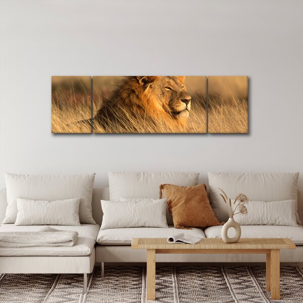 Obraz - Národní park Etosha (170x50 cm)