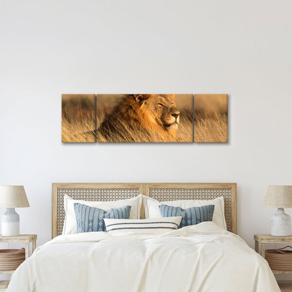 Obraz - Národní park Etosha (170x50 cm)