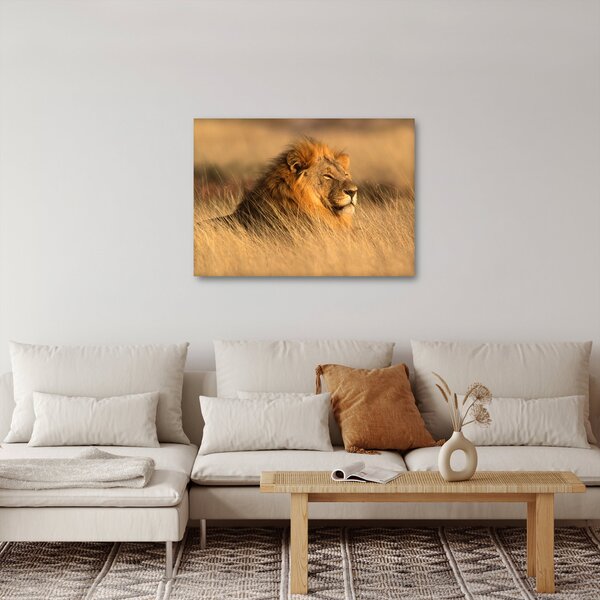 Obraz - Národní park Etosha (70x50 cm)