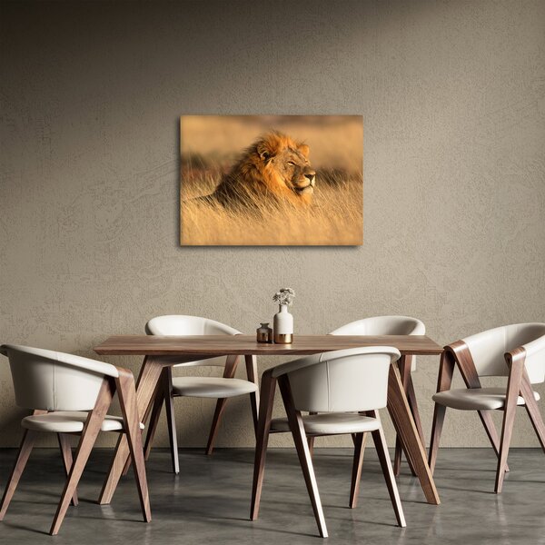 Obraz - Národní park Etosha (70x50 cm)