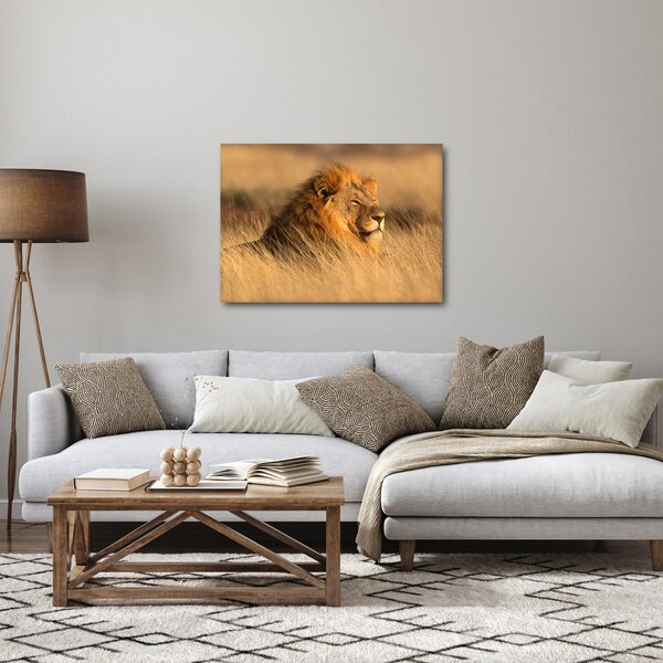 Obraz - Národní park Etosha (70x50 cm)
