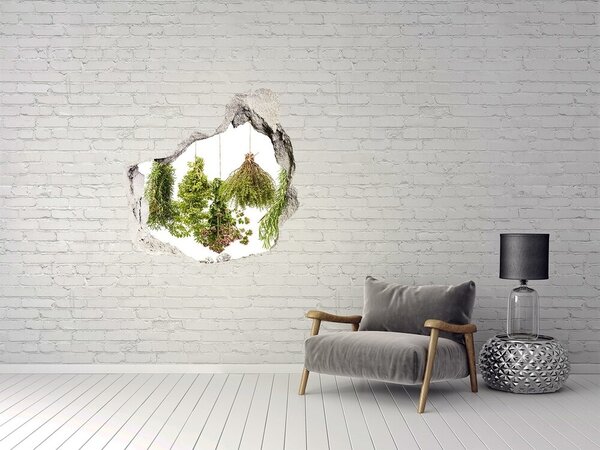 Nálepka díra na zeď beton Bylinky na provázku nd-p-70601237
