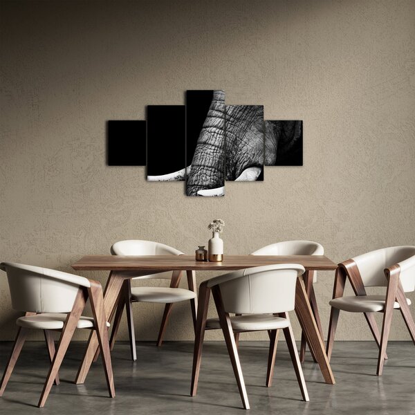 Obraz - Sloní kly (125x70 cm)