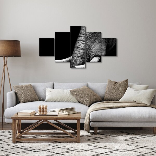 Obraz - Sloní kly (125x70 cm)