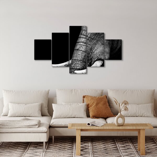 Obraz - Sloní kly (125x70 cm)