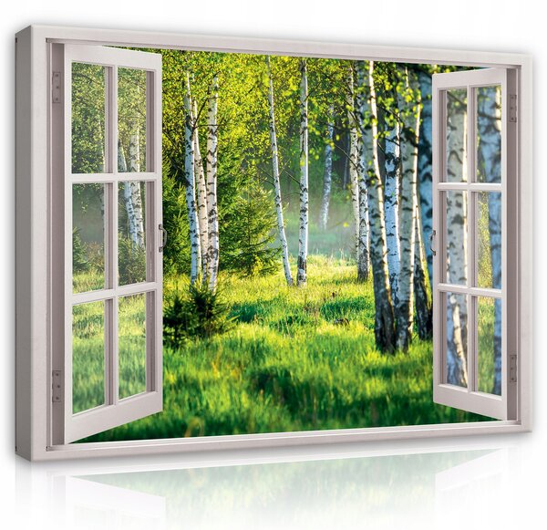 3D Obraz OKNO Krajina do Koupelny Příroda 120x80 cm