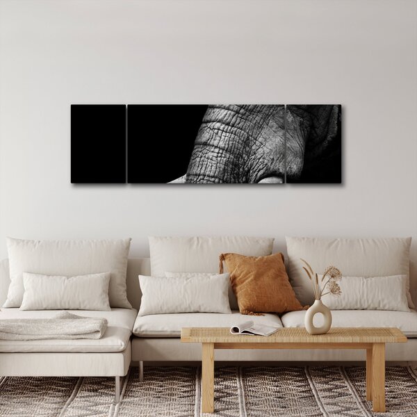 Obraz - Sloní kly (170x50 cm)
