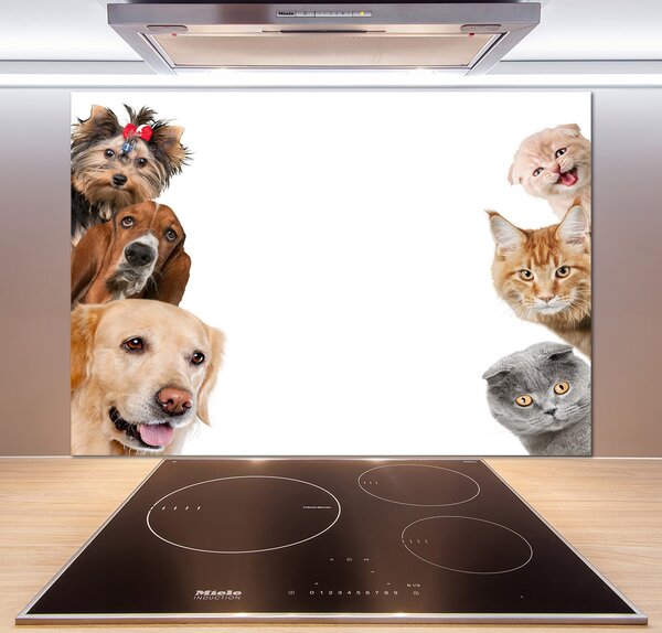 Dekorační panel sklo Psy a kočky pl-pksh-100x70-f-104206550