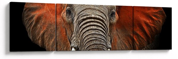 Obraz - Sloni z Tsavo (170x50 cm)
