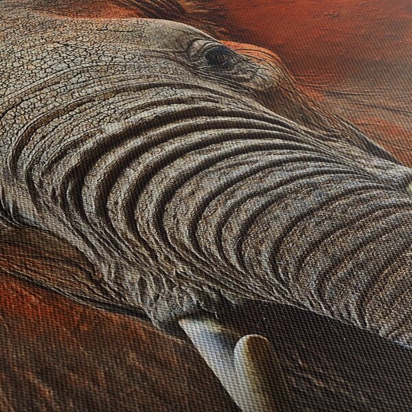 Obraz - Sloni z Tsavo (210x100 cm)