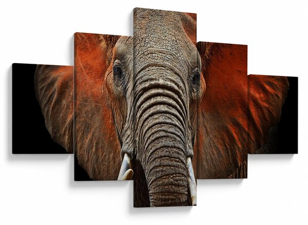 Obraz - Sloni z Tsavo (125x70 cm)