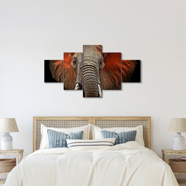 Obraz - Sloni z Tsavo (125x70 cm)