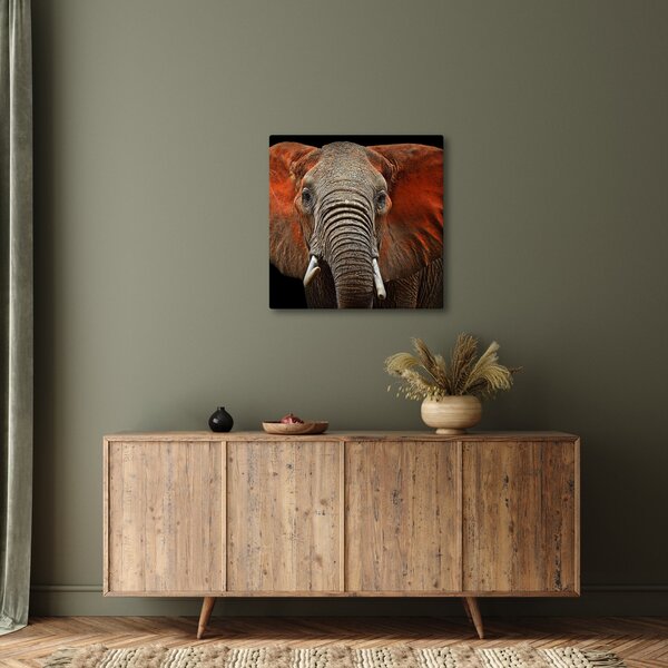 Obraz - Sloni z Tsavo (30x30 cm)