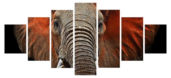 Obraz - Sloni z Tsavo (210x100 cm)