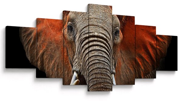 Obraz - Sloni z Tsavo (210x100 cm)