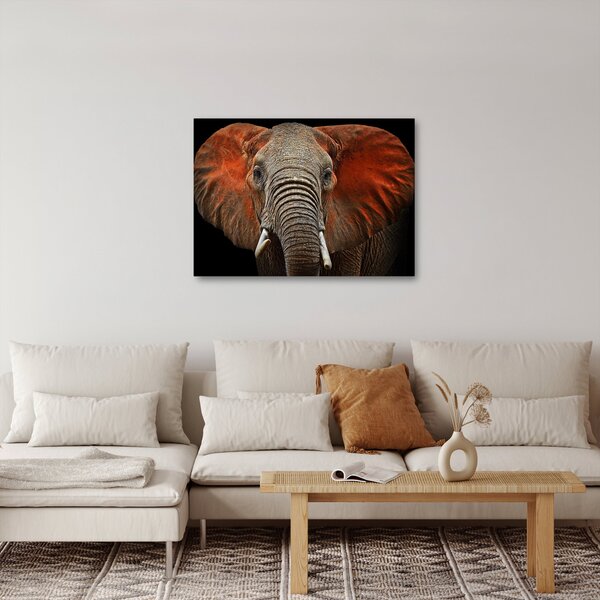 Obraz - Sloni z Tsavo (70x50 cm)