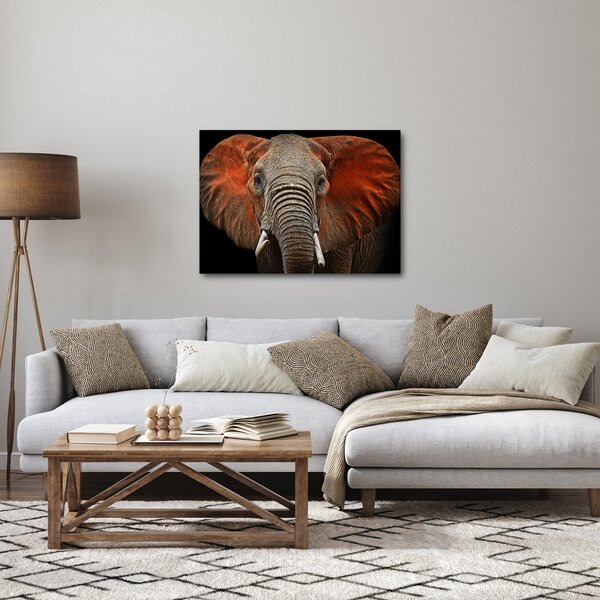 Obraz - Sloni z Tsavo (70x50 cm)