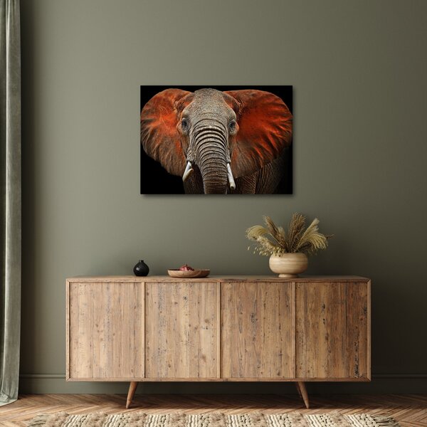 Obraz - Sloni z Tsavo (70x50 cm)