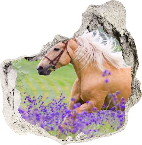 Díra 3D fototapeta Kůň na poli levandule nd-p-84450910
