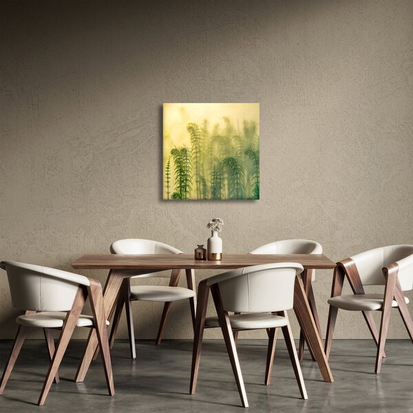 Obraz - Detail jarní mlhavé přírody (30x30 cm)